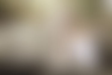 PrimaESG: ESG Documents