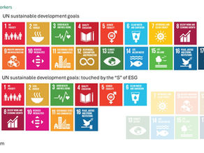 Measuring the UN Social SDGs