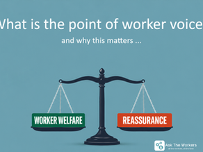 What Is Worker Voice for?