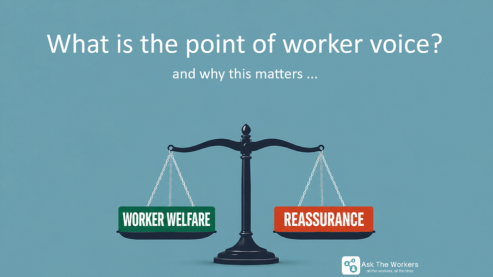 What Is Worker Voice for?