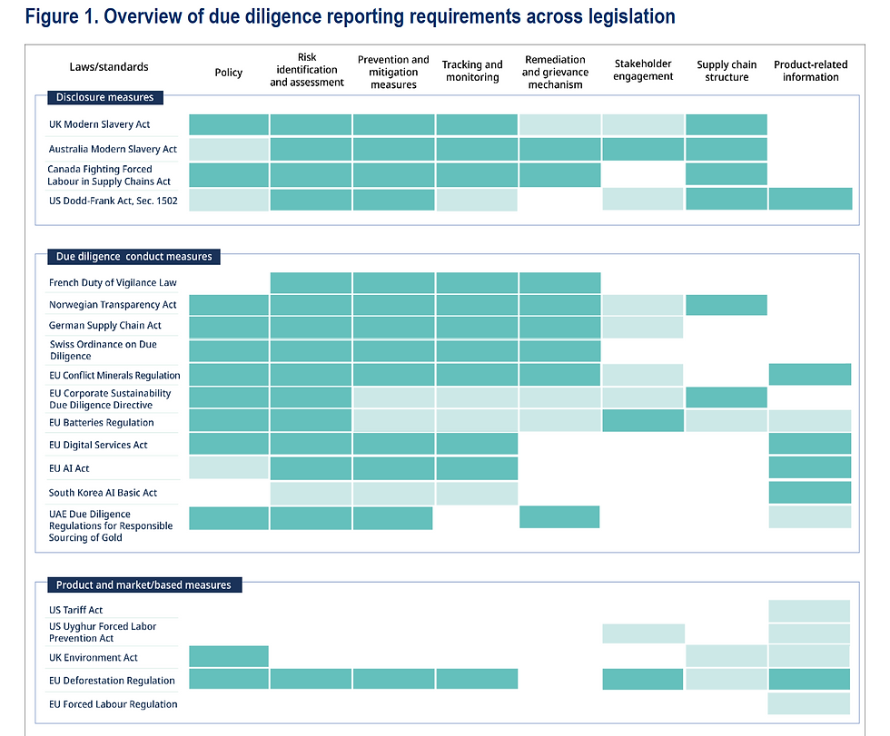 OCED supply chain labour rights laws summary