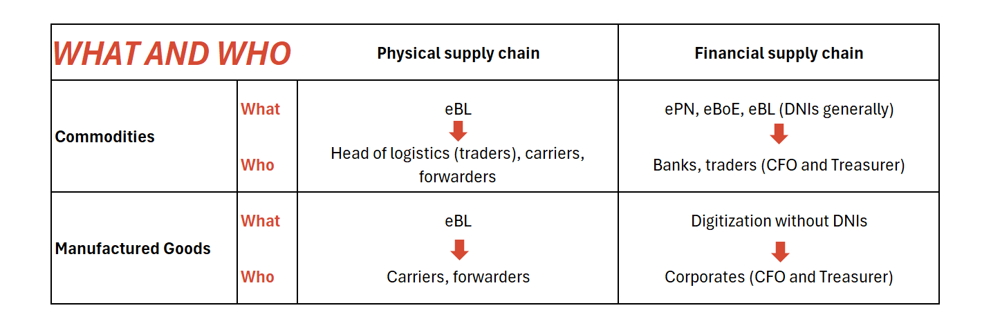 What and who digitalizes trade