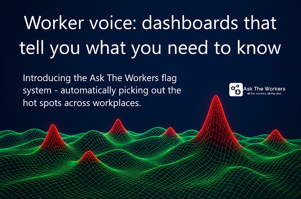 Worker voice flags - dashboards that tell you what you need to know