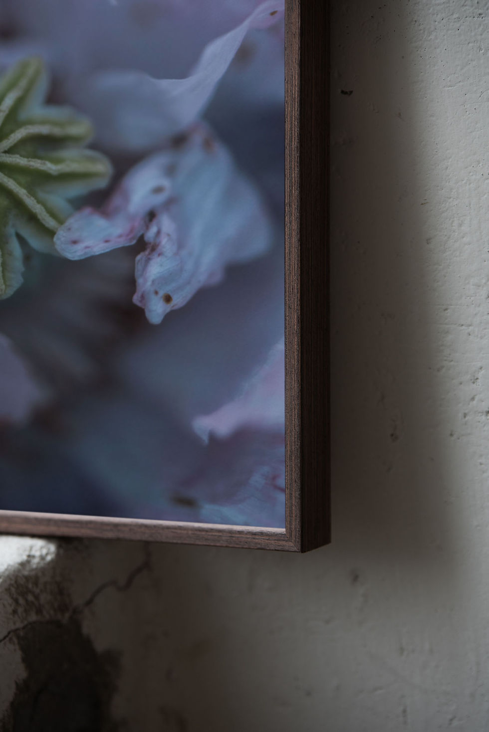 Thumbnail: Art Print — Torus