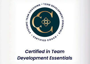 STC-2024-TDE-Certified-Badge-Square_Stan