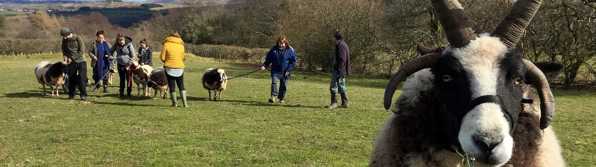 Privacy Policy Jacob Sheep Trekking