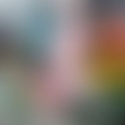 שוק נתניה: לא רק שוק, אלא סיפור של עיר