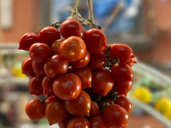 Tomato Treasures - Gastronomic Delights tour in Naples 