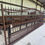 Thumbnail: Gate #5