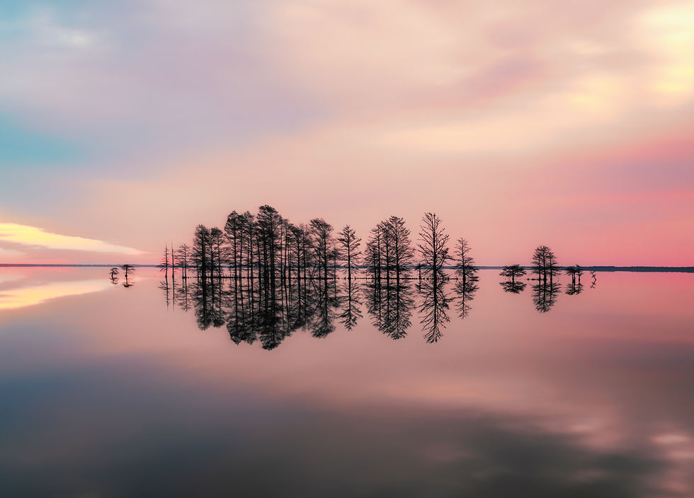Sunrise at Lake Mattamuskeet