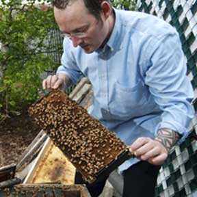 Eat LOCAL Honey