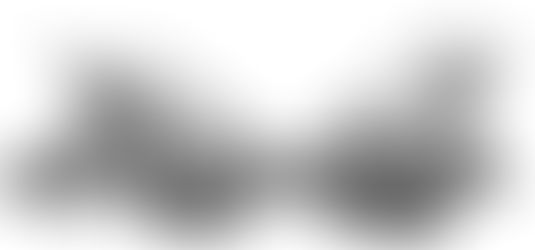 Jesus wasn't just crying out in agony...