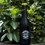Thumbnail: pirate cat kombucha - coffee flower