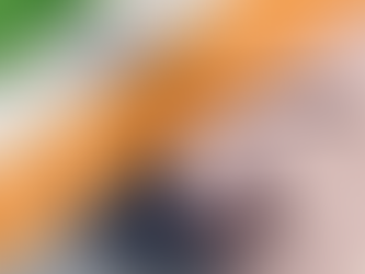 สหรัฐฯ จับมือ อินเดีย ยุติข้อพิพาท WTO ร่วมกัน ๖ คดี