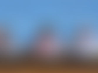 การประชุมคณะมนตรีใหญ่ของ WTO 