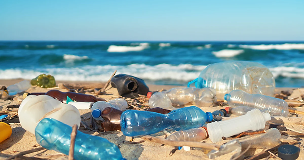 การหารือแนวทางลดการใช้พลาสติกใน WTO