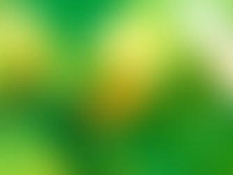 สมาชิก WTO ขับเคลื่อนความตกลงว่าด้วยการอำนวยความสะดวกการลงทุนเพื่อการพัฒนาในการประชุมรัฐมนตรีองค์การการค้าโลก หลังได้รับแรงสนับสนุนท่วมท้นจากสมาชิก