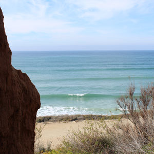 The call of the Ocean