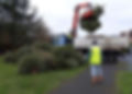 Christmas Tree Recyling.jpg
