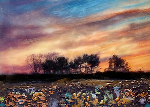 650ADBE5-020B-471C-9868-FFBF0AFC5D87 (1).jpeg