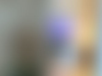 Nouvelle formation d'un jour disponible à l'École Pyrène 