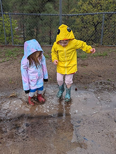 PXL_20240516_152909716.PORTRAIT.jpg