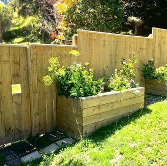 Wooden pailing fence