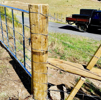 Farm fence and gate