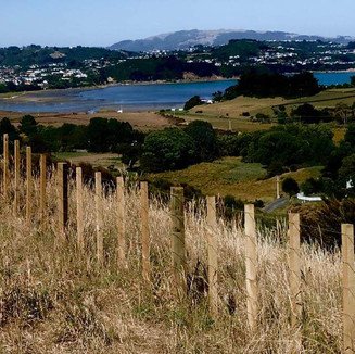 Wooden farm fence by Simon Bargh from Block n Stock Wellington 002.jpeg