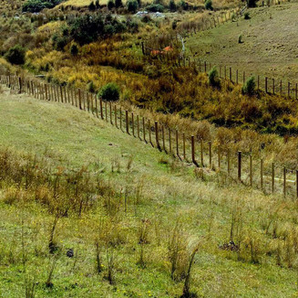 Waterway fencing