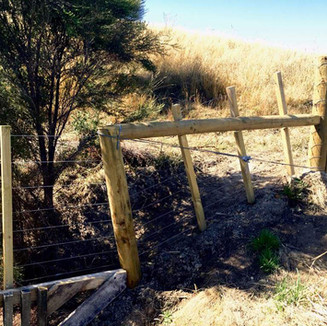 Lifestyle block Farm fence by Simon Bargh from Block n Stock Wellington 006.jpeg