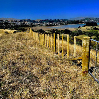 Farm fence by Simon Bargh from Block n Stock Wellington 004.jpeg