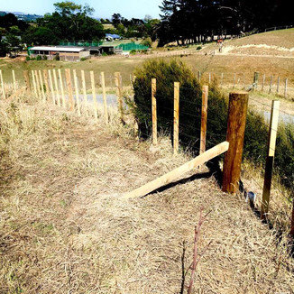 Boundary fencing