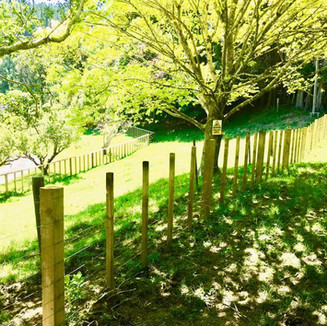 Lifestyle block Farm fence by Simon Bargh from Block n Stock Wellington 007.jpeg