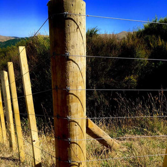 Post, wire and batten