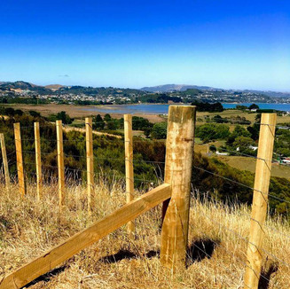 Wooden farm fence by Simon Bargh from Block n Stock Wellington 001.jpeg