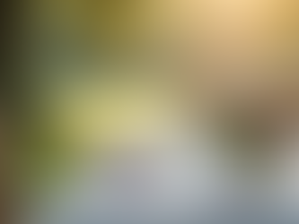 Tendências em Casamentos: O Que Está em Alta