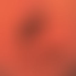 "A TUTTI I COSTI":IL NUOVO SINGOLO DEI MALDIMARTE