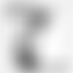 BIMBO: DISPONIBILI DAL 1 APRILE IN DIGITALE IL NUOVO EP "L'ALLIGATORE" E L'ALBUM "BUGIE PER ASINI"