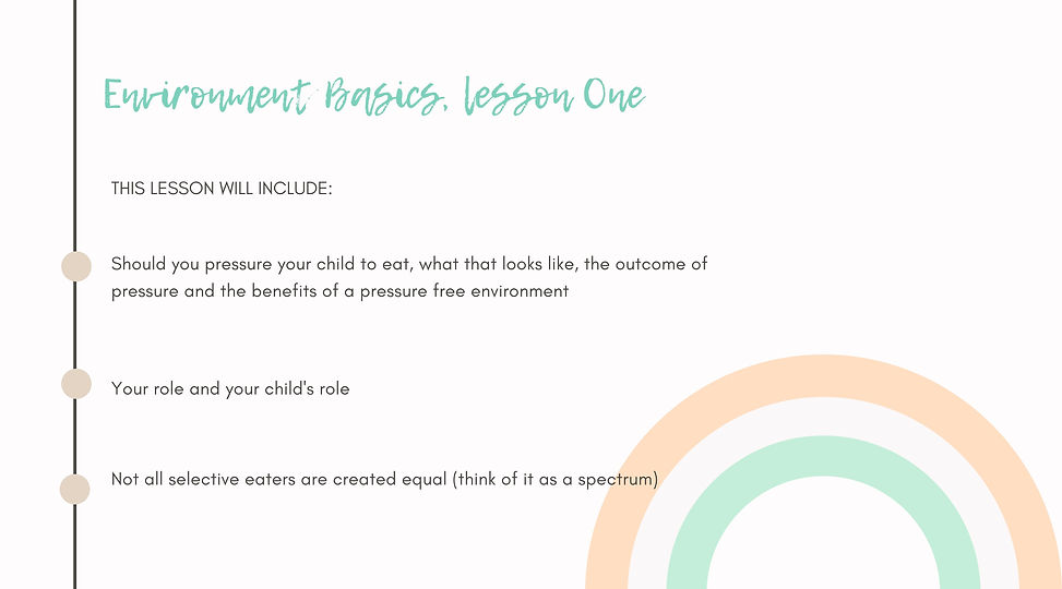 Selective Eaters Program, lesson 1.jpg