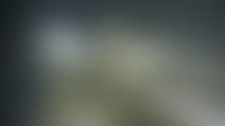 up to 30 cm of snow is expected near the Coq summit this weekend 