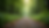 Eye-level view of a quiet path through a peaceful forest