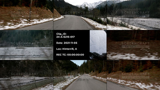 Driving Plates Footage | Germany | Driving Plates