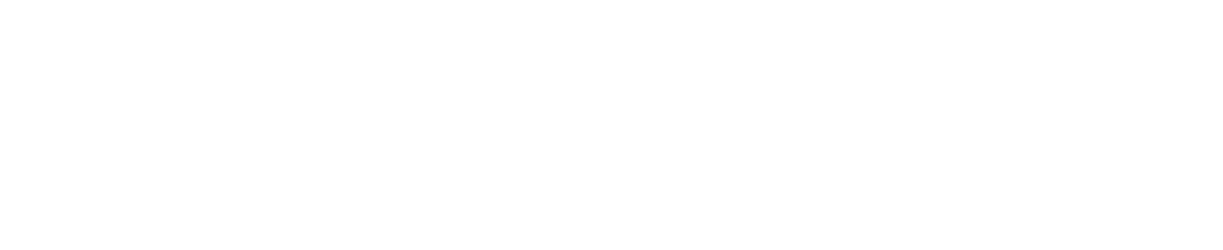 wildsole_logo_white.gif