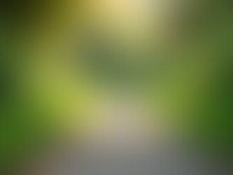 What Does It Mean to Be a Certified Coaching Professional?