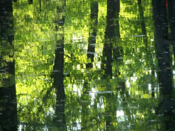 phpThumb_generated_thumbnail