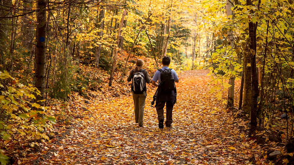 Image of two people walking