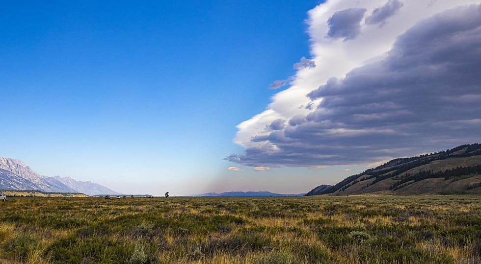 Image of nature