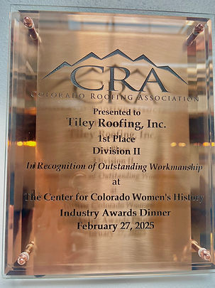 Roofing award 2024