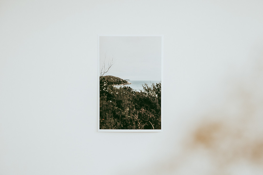Looking through the bush along the ruggard Victorian coastline, Wilson's Promontory, Victoria.